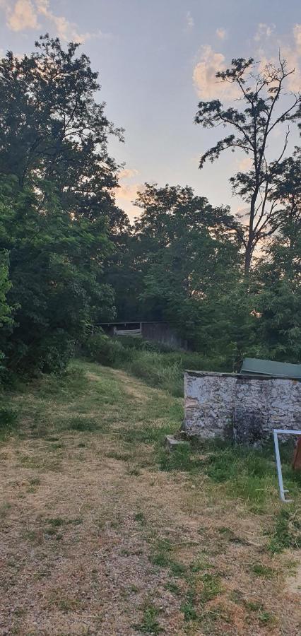 Bed and Breakfast Ancien Relais De Chasse A 35 Min Du Circuit 24H Du Mans Le Lude Экстерьер фото